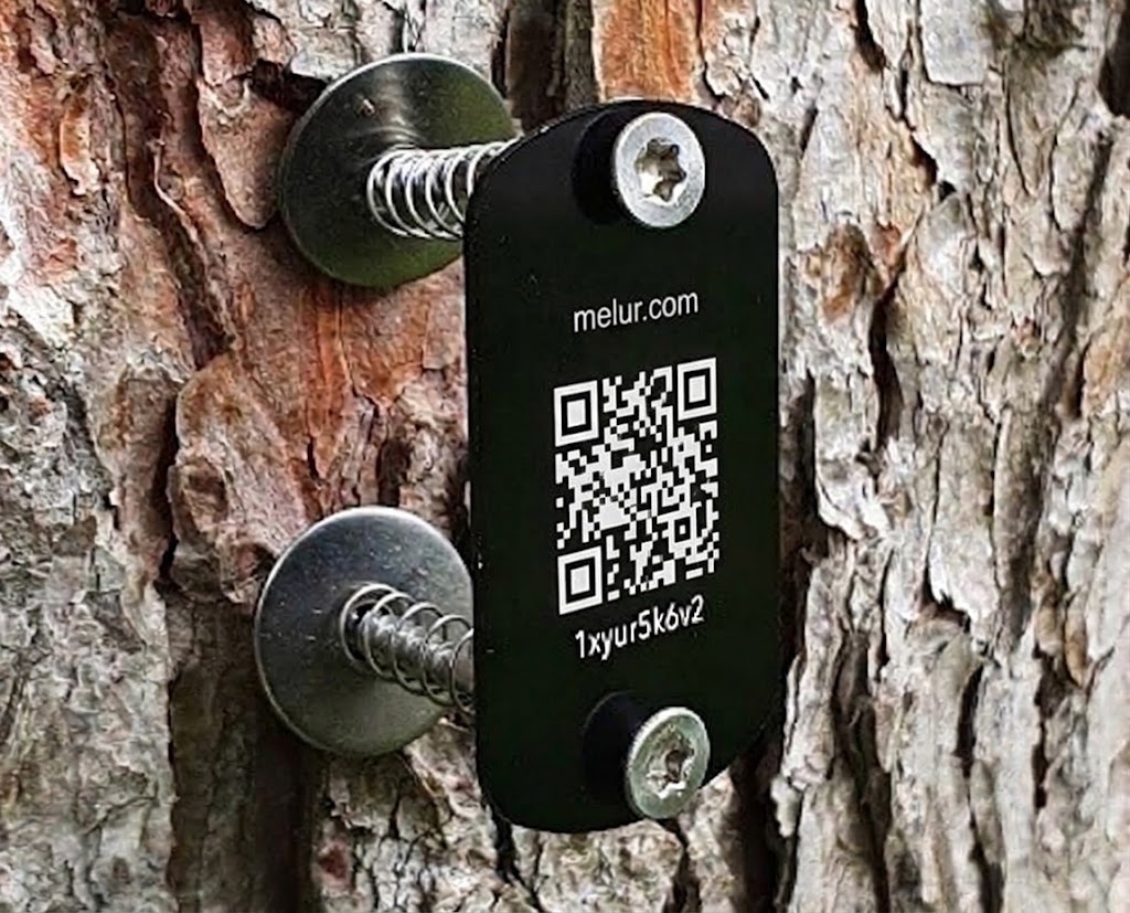 Tree Plaque (S/M-Tag)